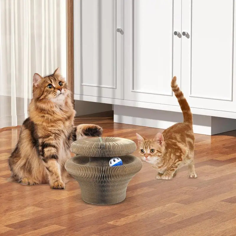 Kitty Curls Cat Toy – Interactive Scratch Pad & Resting Spot