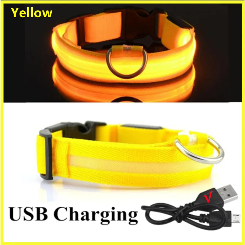 USB Rechargeable LED Glowing Dog & Cat Collar – Adjustable Night Safety Collar