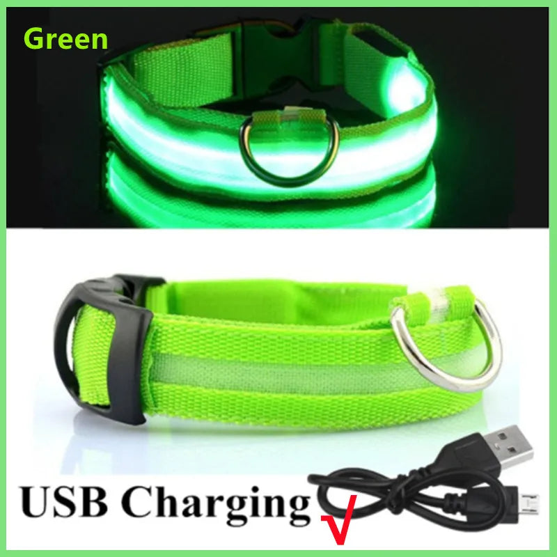 USB Rechargeable LED Glowing Dog & Cat Collar – Adjustable Night Safety Collar