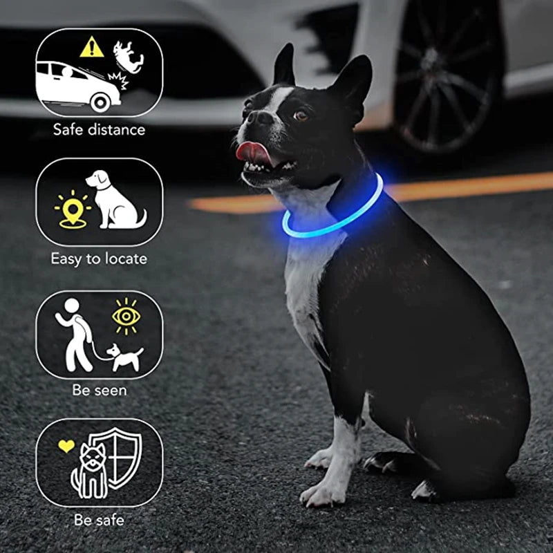 LED Luminous Dog & Cat Collar – Rechargeable Glowing Safety Collar