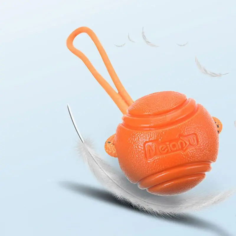 Reflective TPR Rope Ball Dog Toy for Fetch & Dental Care