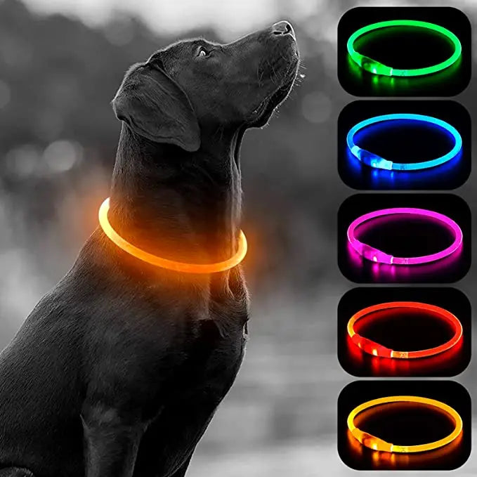 LED Luminous Dog & Cat Collar – Rechargeable Glowing Safety Collar