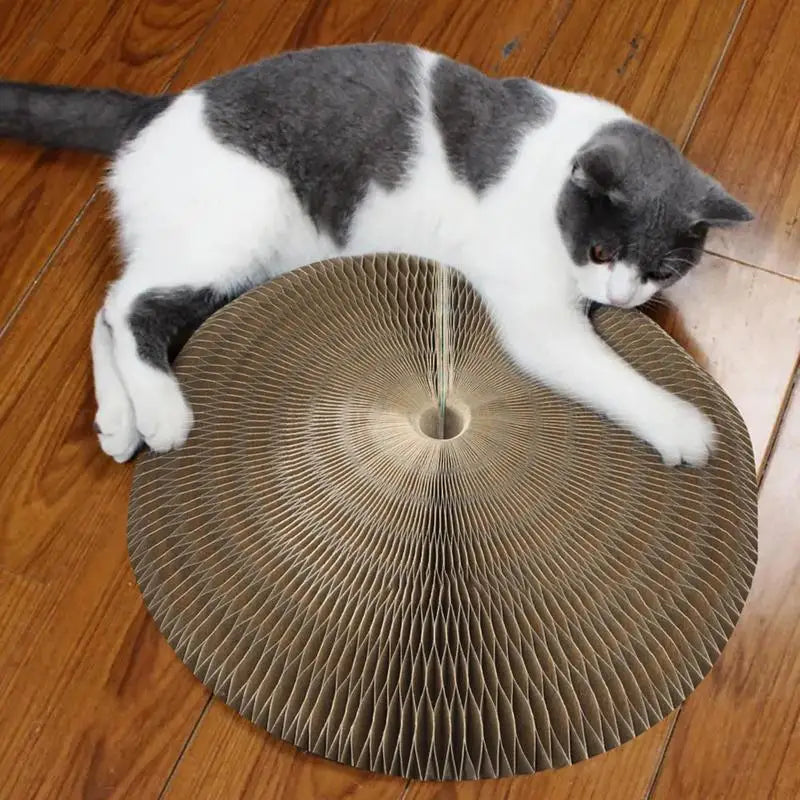 Kitty Curls Cat Toy – Interactive Scratch Pad & Resting Spot