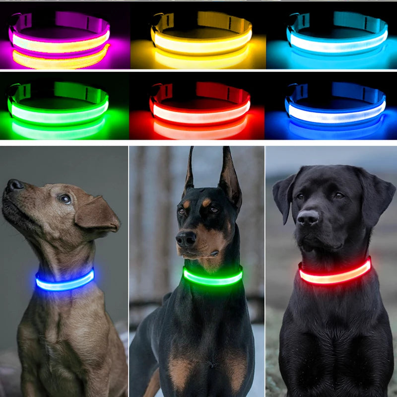 USB Rechargeable LED Glowing Dog & Cat Collar – Adjustable Night Safety Collar