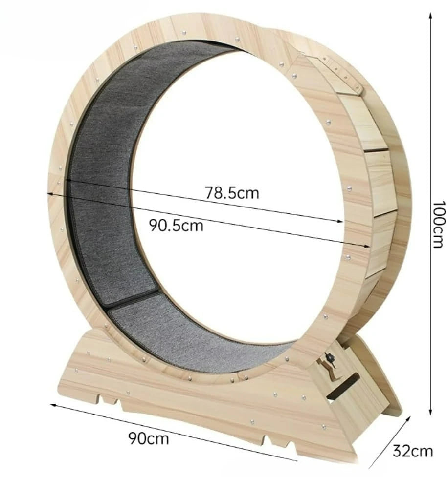 Silent Cat Exercise Wheel with Safety Guard – 360° Whisker-Friendly Indoor Treadmill for Cats