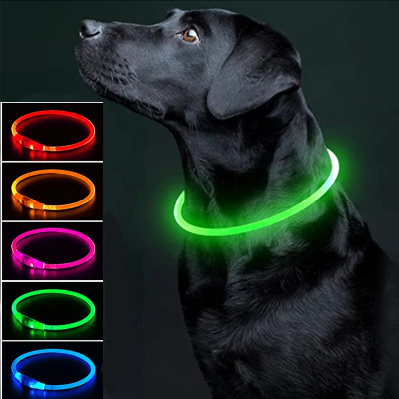 LED Luminous Dog & Cat Collar – Rechargeable Glowing Safety Collar