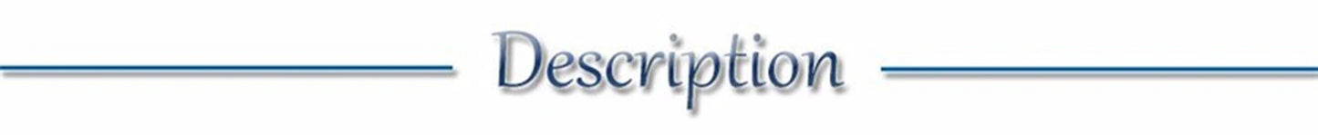 LED Luminous Dog & Cat Collar – Rechargeable Glowing Safety Collar