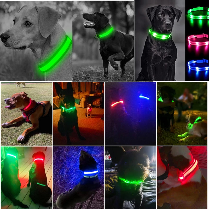 USB Rechargeable LED Glowing Dog & Cat Collar – Adjustable Night Safety Collar