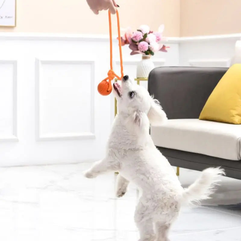 Reflective TPR Rope Ball Dog Toy for Fetch & Dental Care