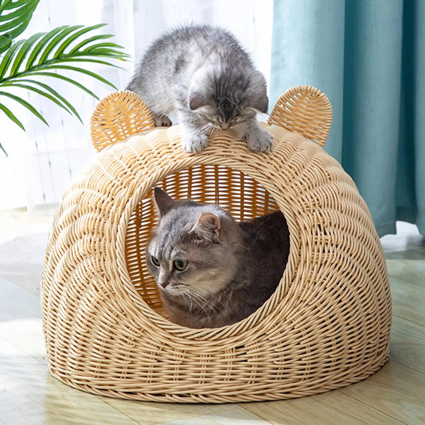 Rattan Woven Semi-Closed Cat Bed House