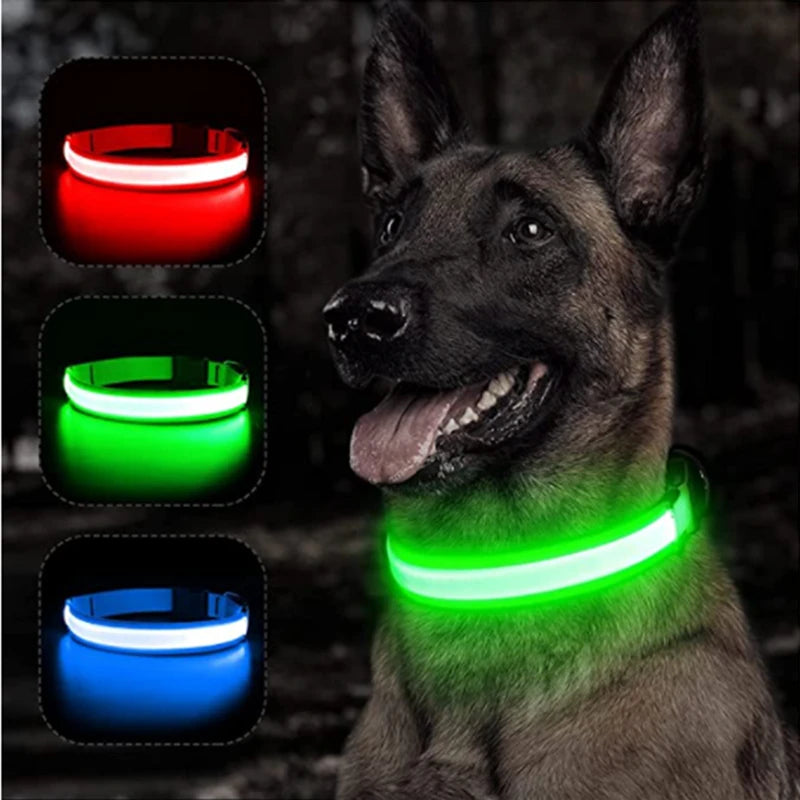 USB Rechargeable LED Glowing Dog & Cat Collar – Adjustable Night Safety Collar