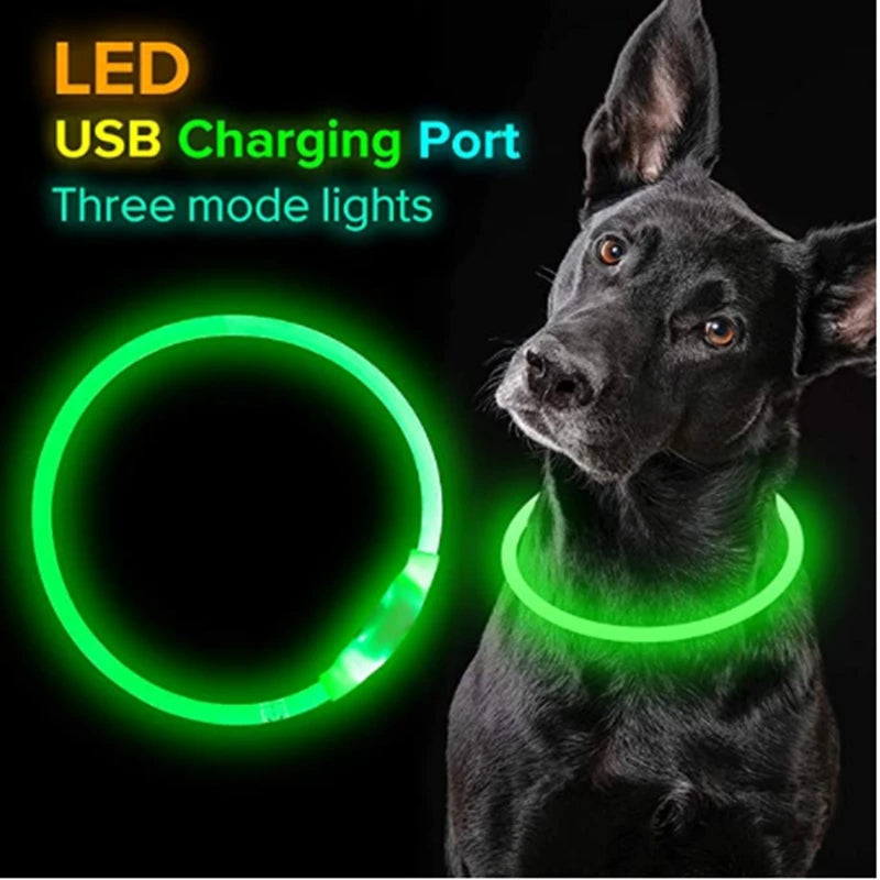 LED Luminous Dog & Cat Collar – Rechargeable Glowing Safety Collar