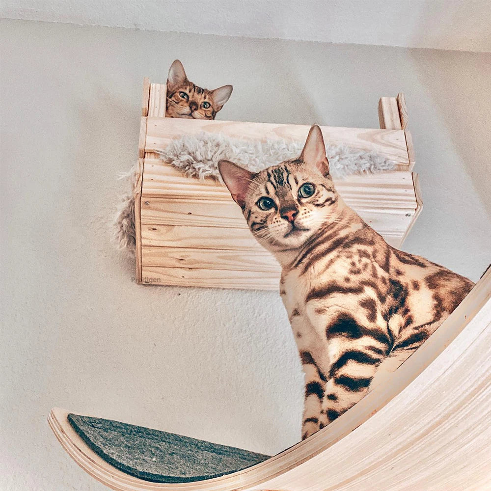 Wall-Mounted Wooden Cat Perch Bed with Scratching & Climbing Function