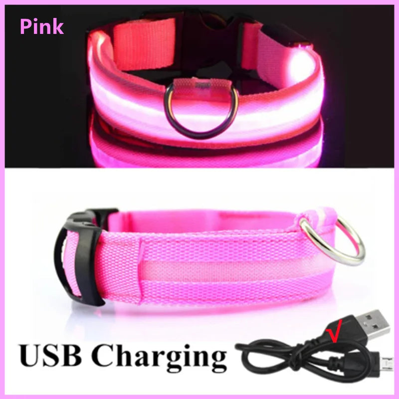 USB Rechargeable LED Glowing Dog & Cat Collar – Adjustable Night Safety Collar