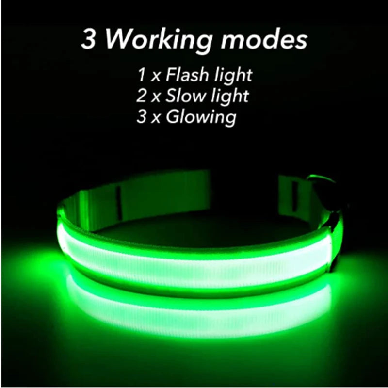 USB Rechargeable LED Glowing Dog & Cat Collar – Adjustable Night Safety Collar