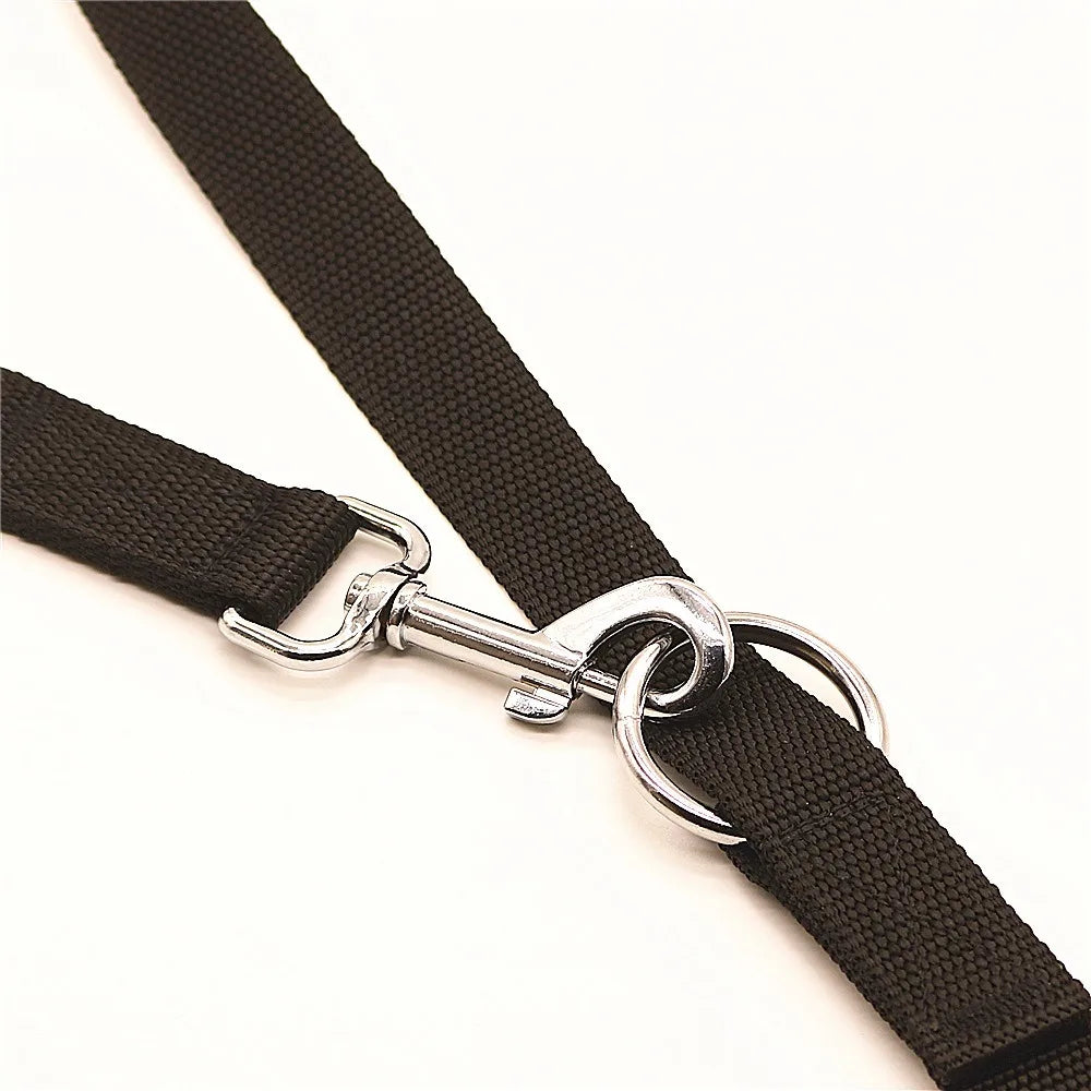 Adjustable Dual-Clip Dog Leash with Hands-Free Option