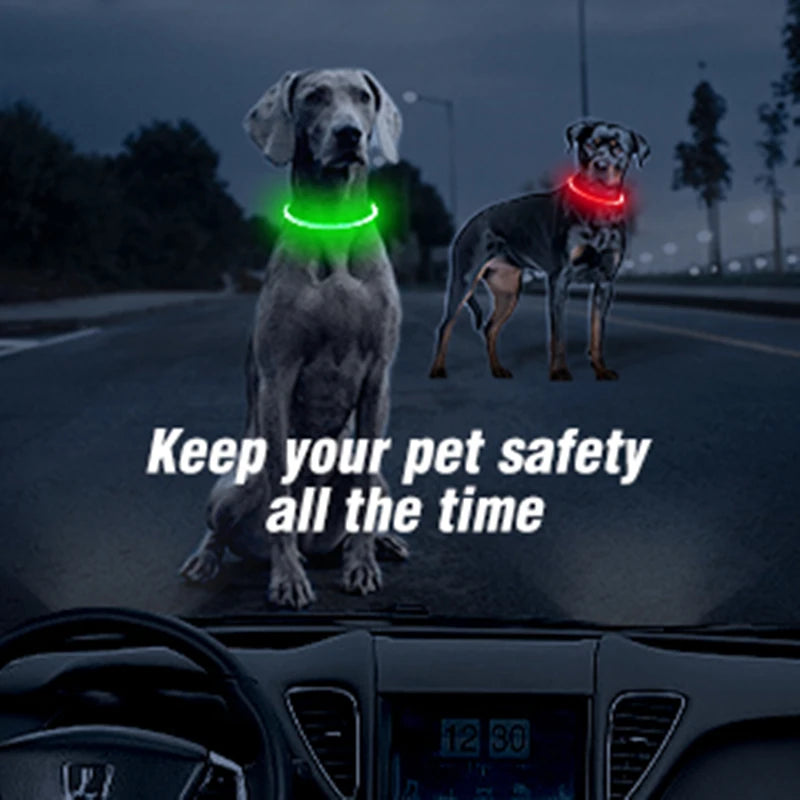 LED Luminous Dog & Cat Collar – Rechargeable Glowing Safety Collar