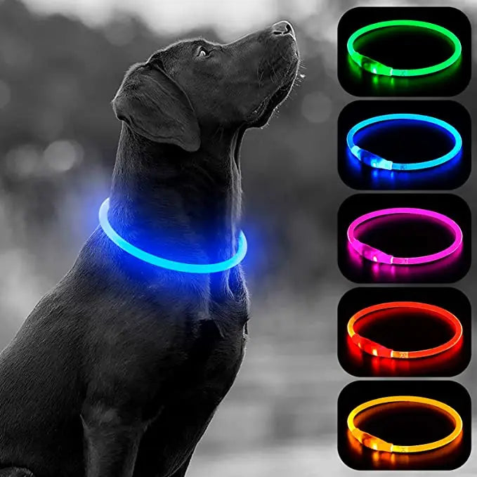 LED Luminous Dog & Cat Collar – Rechargeable Glowing Safety Collar