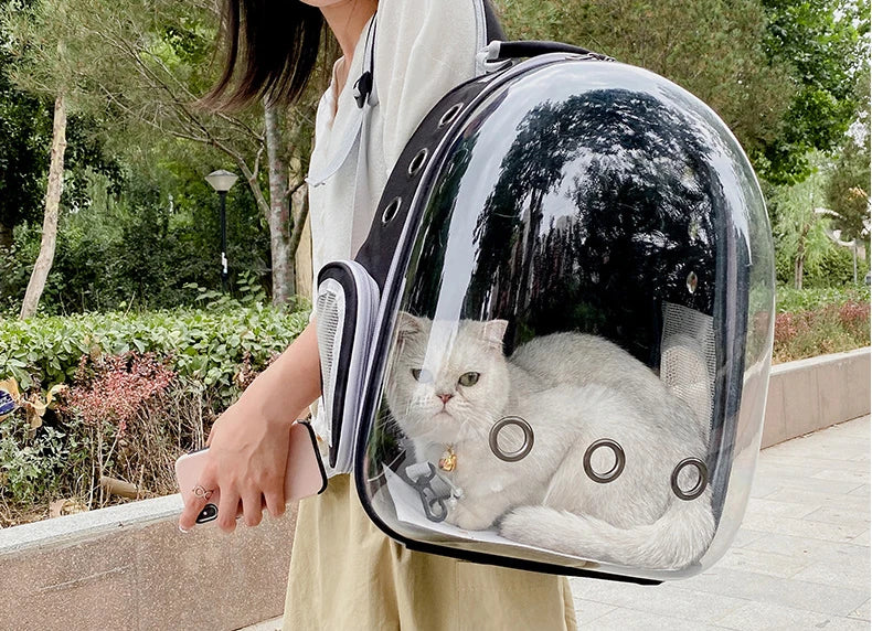 Pet Cat & Small Dog Carrying Backpack – Breathable Transparent Space Capsule Carrier for Travel, Hiking, and Daily Walks