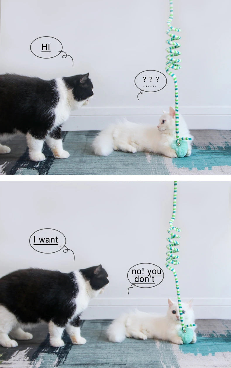 Interactive Hanging Cat Toy with Elastic Rope & Bell