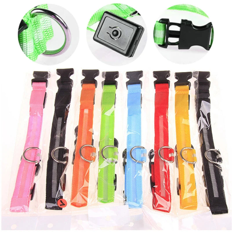 USB Rechargeable LED Glowing Dog & Cat Collar – Adjustable Night Safety Collar