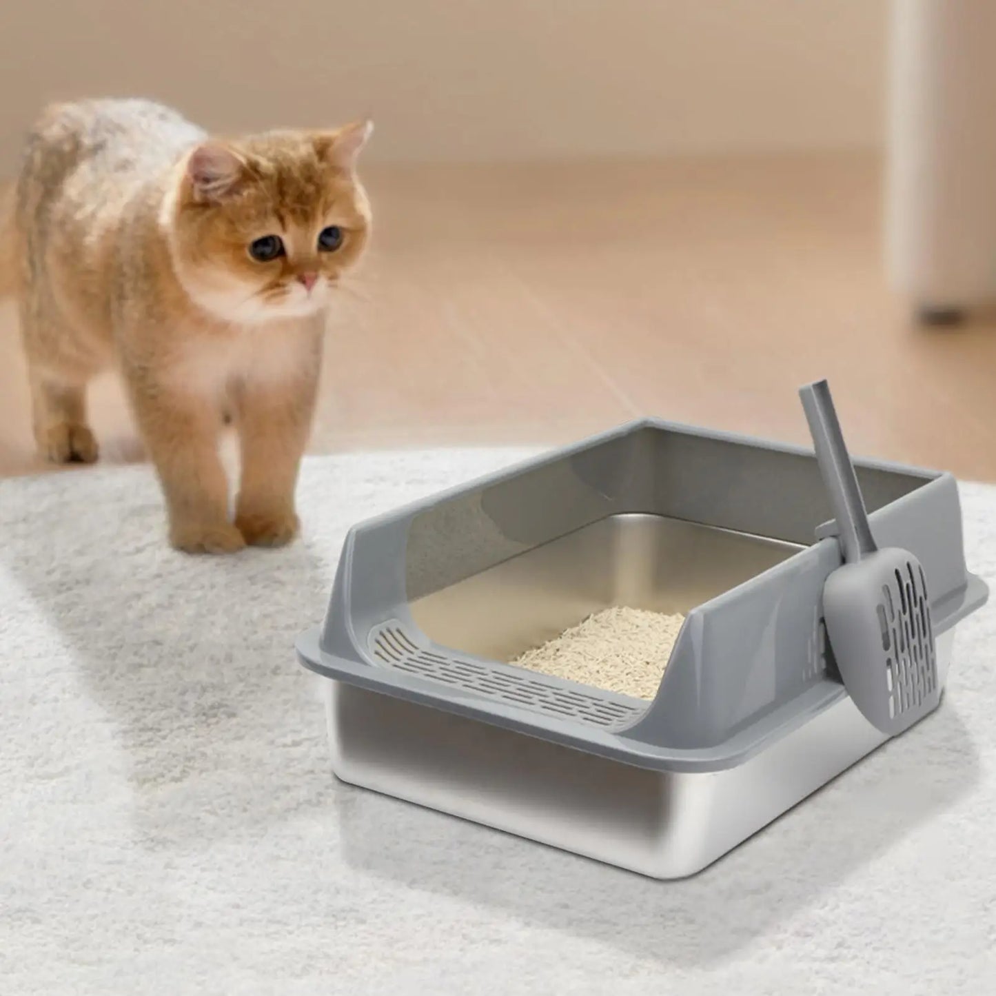 Stainless Steel Semi-Closed Cat Litter Box with Scoop – Large & Splashproof