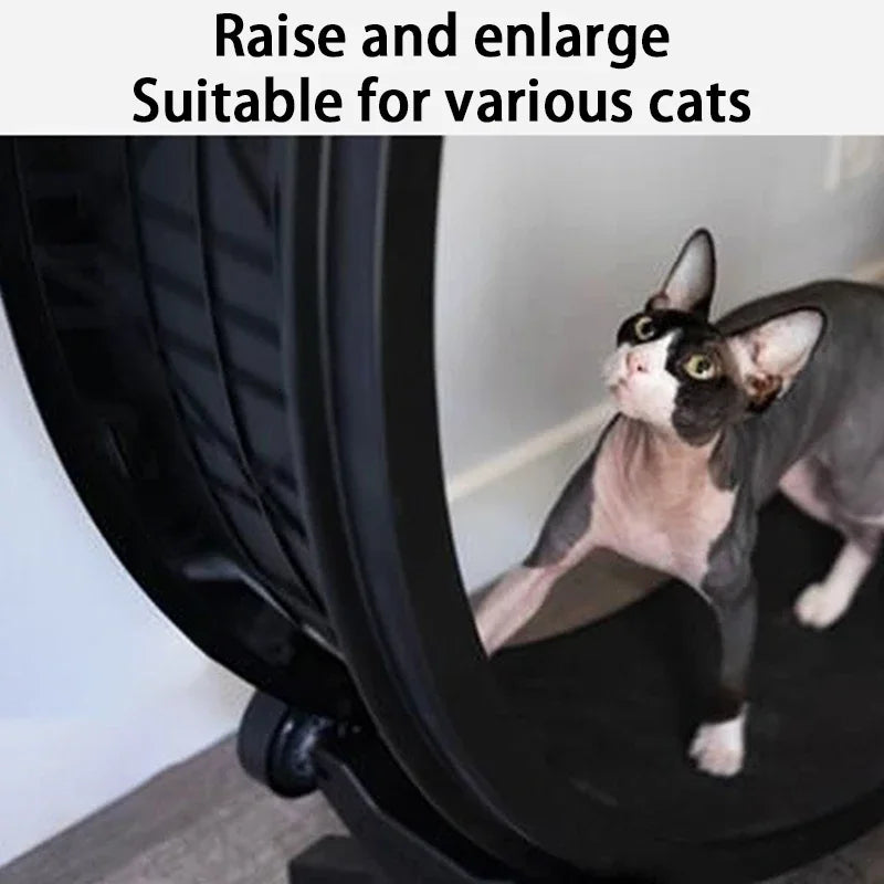 Silent Cat Treadmill Running Wheel – Multi-Function Fitness Toy for Cats & Small Dogs