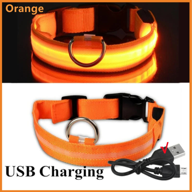 USB Rechargeable LED Glowing Dog & Cat Collar – Adjustable Night Safety Collar
