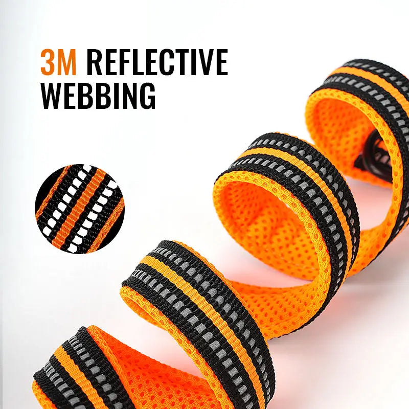 TRUELOVE 7-in-1 Adjustable Dog Leash TLL2411 – Reflective Multi-Function Hands-Free Lead