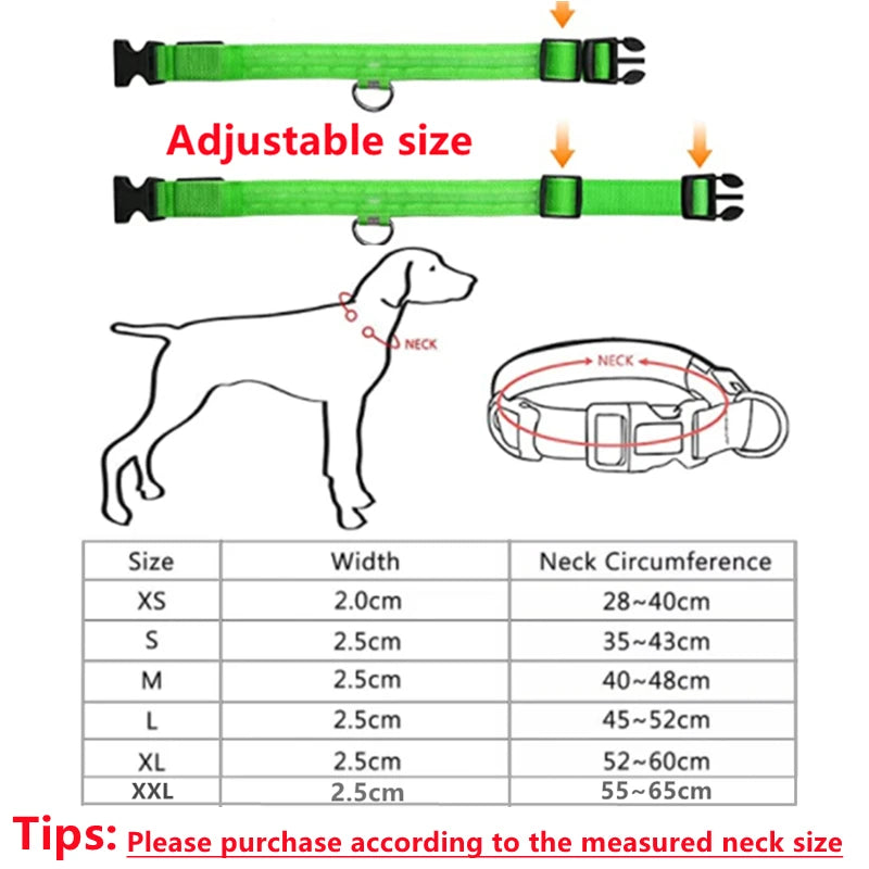 USB Rechargeable LED Glowing Dog & Cat Collar – Adjustable Night Safety Collar