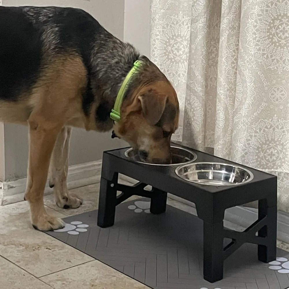 Adjustable Elevated Dog Feeder with Double Stainless Steel Bowls – Small to Large Dogs
