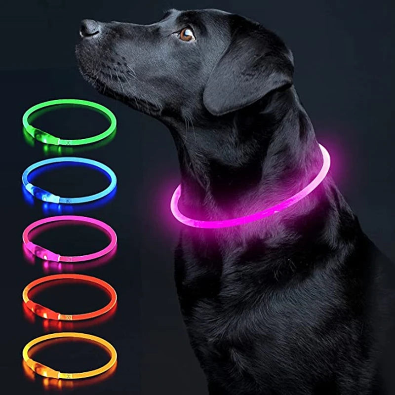 LED Luminous Dog & Cat Collar – Rechargeable Glowing Safety Collar