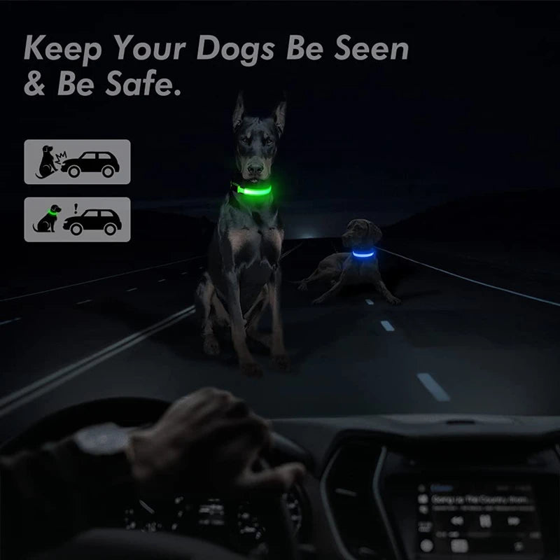 USB Rechargeable LED Glowing Dog & Cat Collar – Adjustable Night Safety Collar