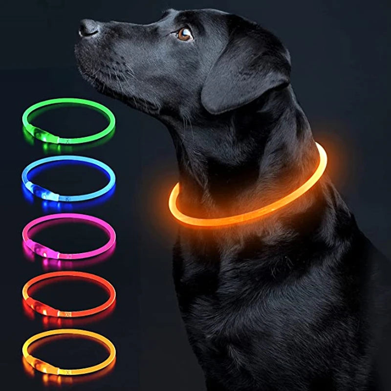 LED Luminous Dog & Cat Collar – Rechargeable Glowing Safety Collar
