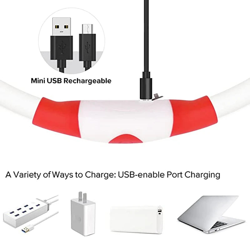 LED Luminous Dog & Cat Collar – Rechargeable Glowing Safety Collar