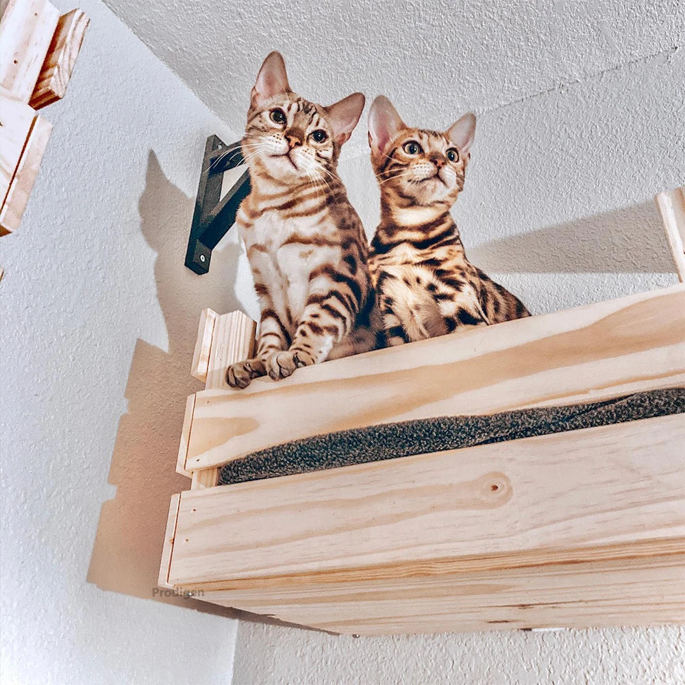Wall-Mounted Wooden Cat Perch Bed with Scratching & Climbing Function