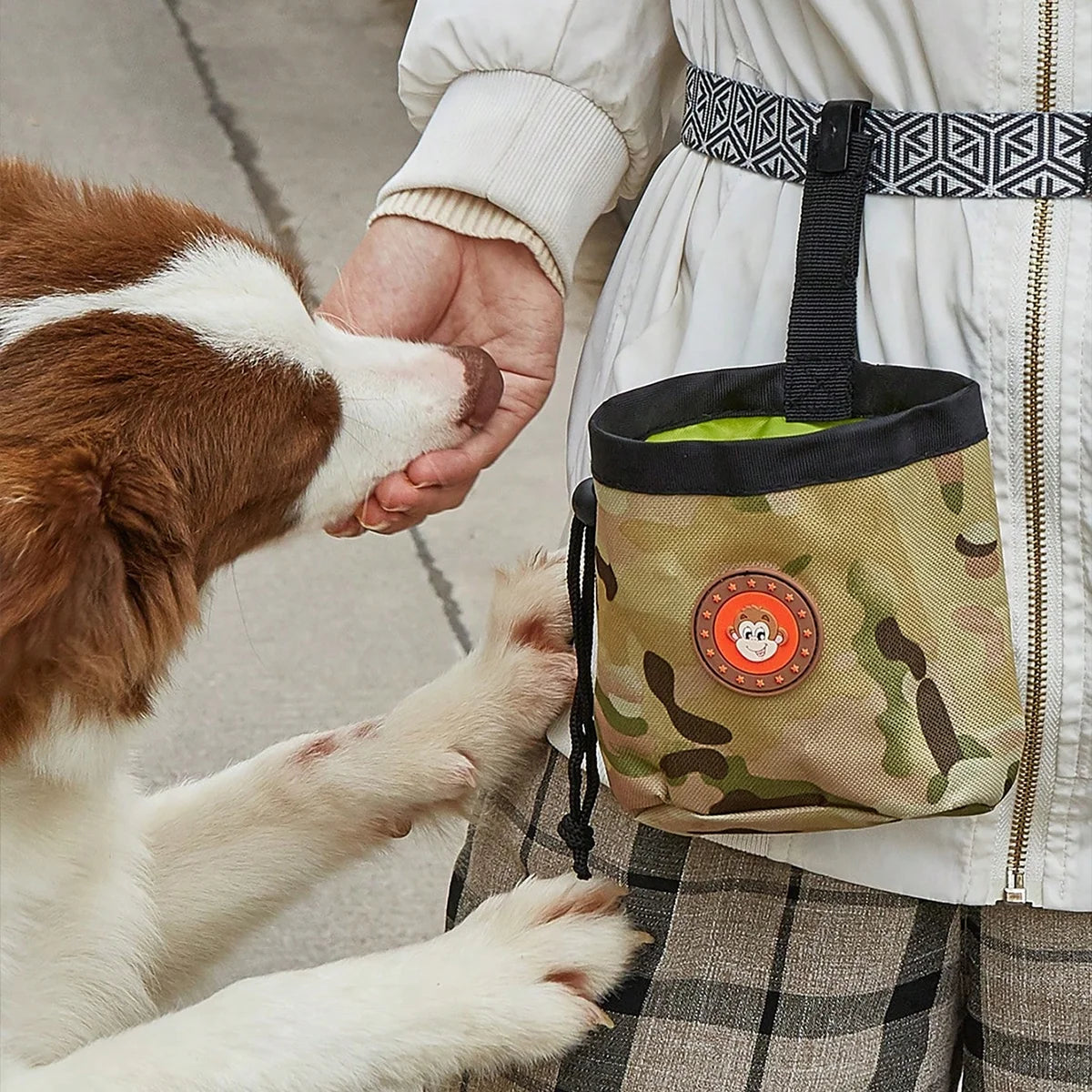 Portable Dog Training Treat Pouch Waist Bag